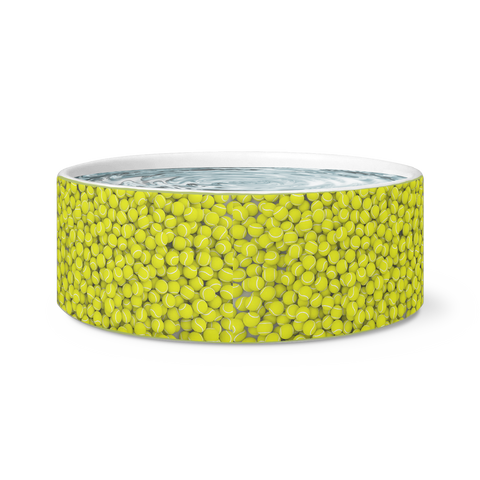 Catch The Ball Dog Bowl