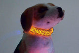 LED Dog Flash Light Collar