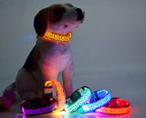 LED Dog Flash Light Collar