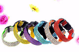 LED Dog Flash Light Collar