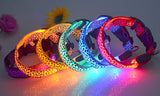 LED Dog Flash Light Collar